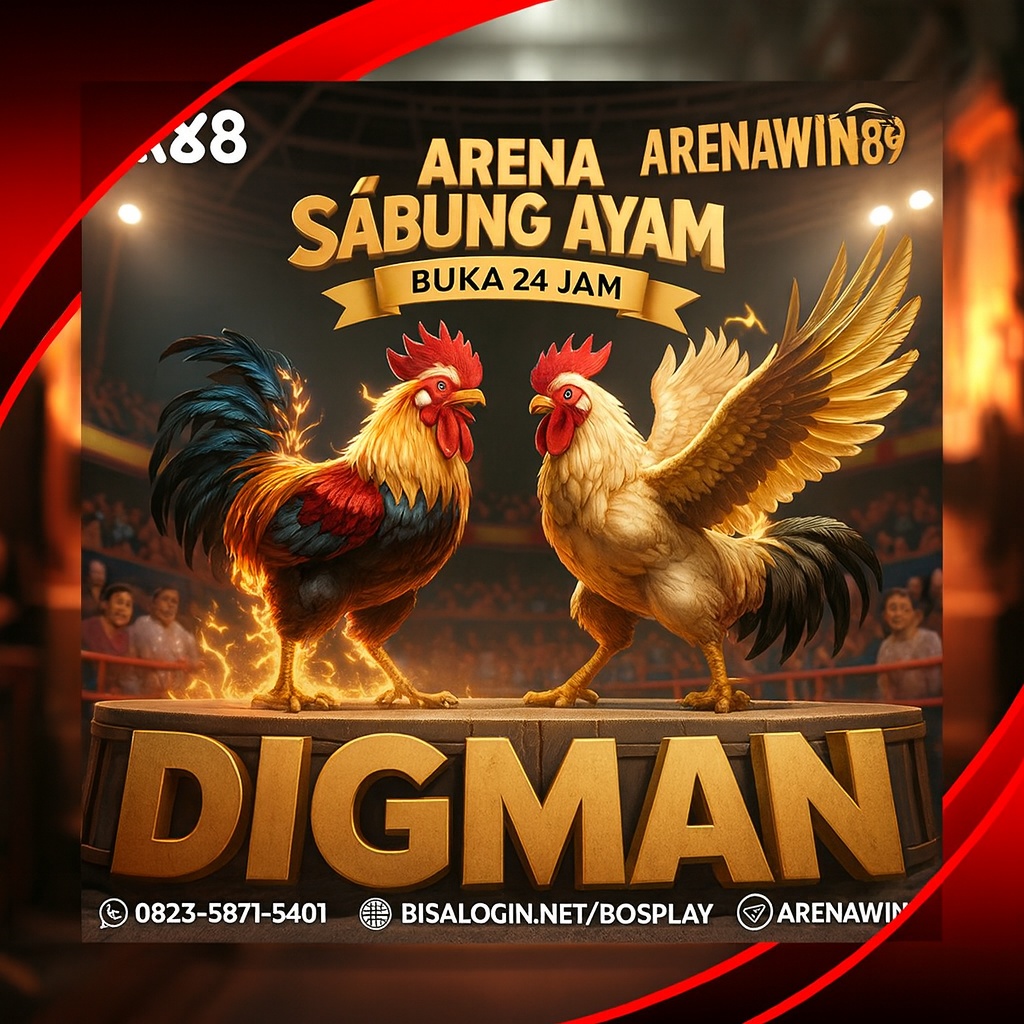 Arenawin89 : Arenawin89 Games Suitable for School Children!